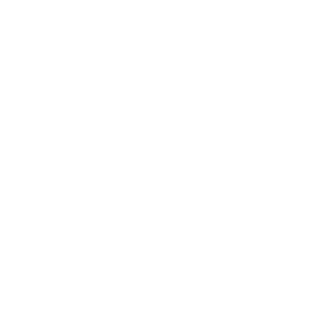 select icon