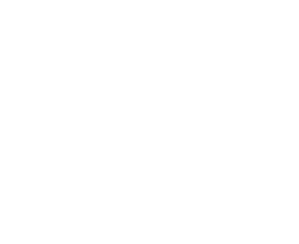 select icon