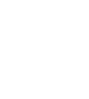 select icon