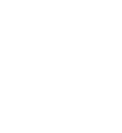 select icon